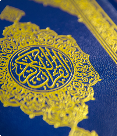 جميع دورات النحو